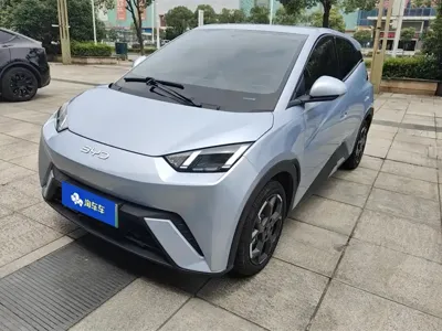BYD Seagull · 2025 год