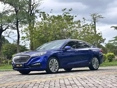 Hongqi Hongqi H5 · 2023 год