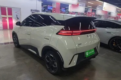 BYD Seagull 2025, 16600 км, за 67857.33 CNY