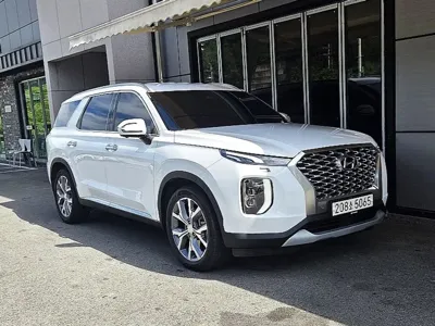 Hyundai Palisade · 2019 год