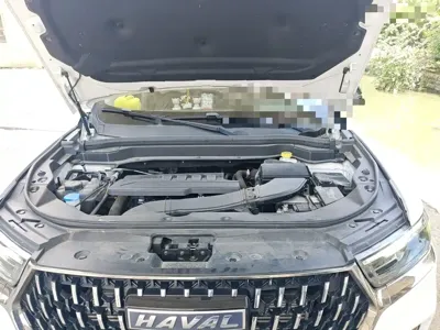 Haval H6 2024, 27200 км, за 69500 CNY - фото 17