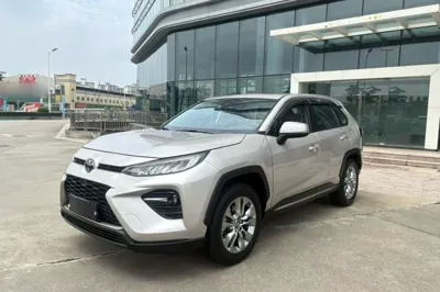 Toyota Wildlander · 2020 год