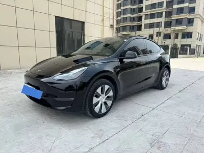 Tesla Model Y · 2023 год
