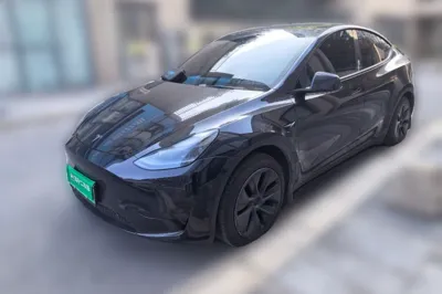 Tesla Model Y · 2024 год