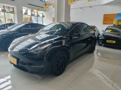 Tesla Model Y · 2021 год