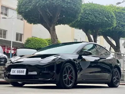 Tesla Model 3 · 2021 год