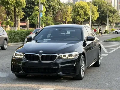 BMW 5 Series · 2020 год