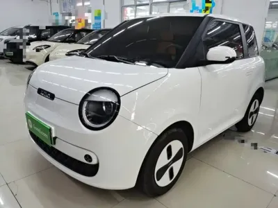 Qiyuan Lumin · 2026 год