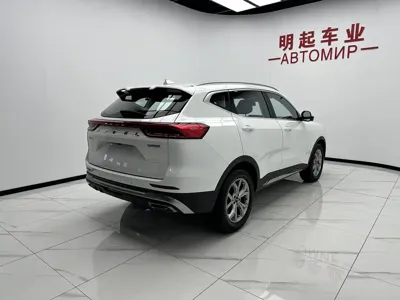 Haval H6 2021, 33000 км, за 79800 CNY - фото 9