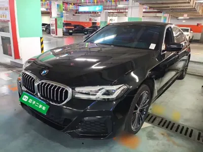 BMW 5 Series · 2024 год