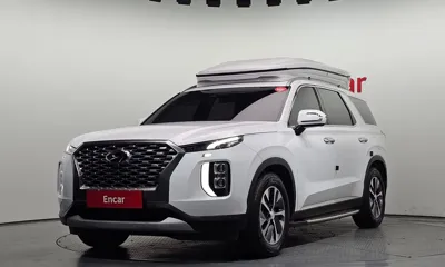 Hyundai Palisade · 2019 год