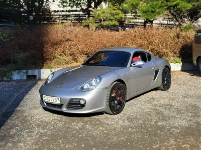 Porsche Cayman · 2011 год