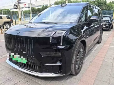 Zeekr 009 · 2026 год