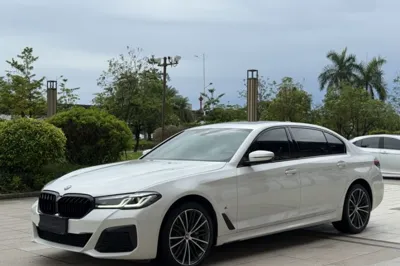 BMW 5 Series · 2021 год