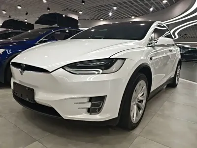 Tesla Model X · 2019 год
