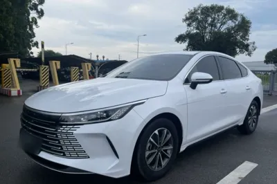 BYD Destroyer 05 · 2024 год
