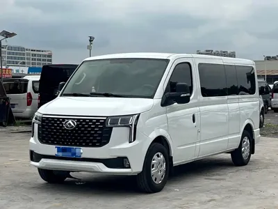 大通 V80 · 2024 год