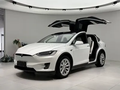 Tesla Model X · 2019 год