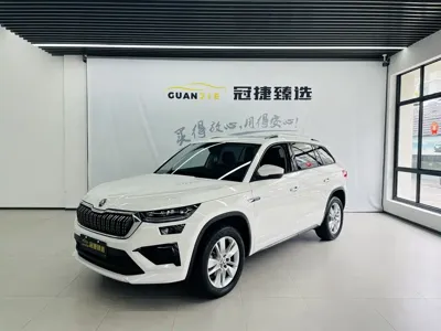Skoda Kodiaq · 2024 год
