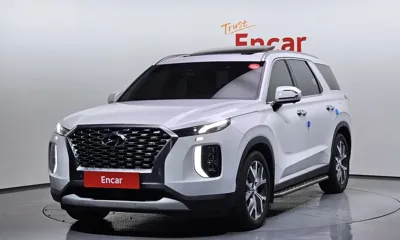 Hyundai Palisade · 2020 год