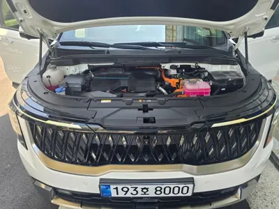 Kia Canival 2024, 41500 км, за 26410000 KRW - фото 6