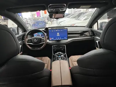 BYD Tang New Energy 2024, 74000 км, за 96000 CNY - фото 8