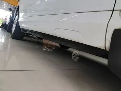 Audi Q3 2016, 76100 км, за 50400 CNY - фото 21