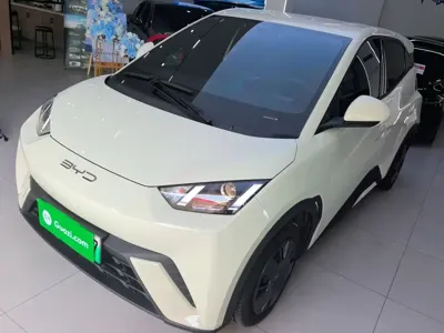 BYD Seagull · 2024 год