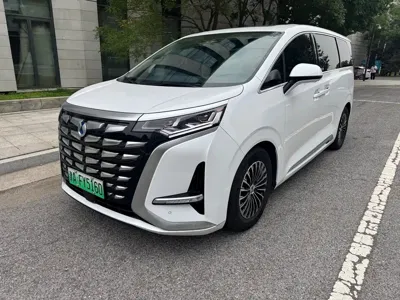 Denza Denza D9 · 2024 год