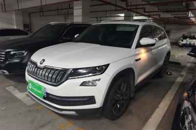 Skoda Kodiaq · 2017 год