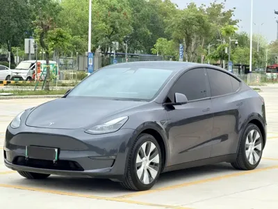 Tesla Model Y 2021, 125000 км, за 136800 CNY - фото 1