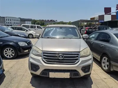 Great Wall Fengjun 5 2018, 110000 км, за 27000 CNY