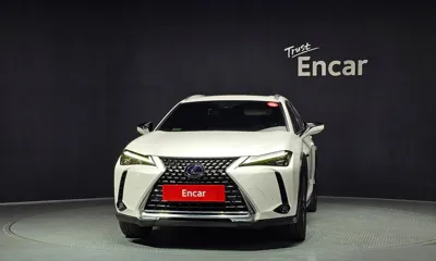 Lexus UX 2019, 87376 км, за 29990000 KRW
