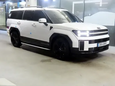 Hyundai Santafe · 2024 год