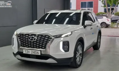 Hyundai Palisade · 2019 год