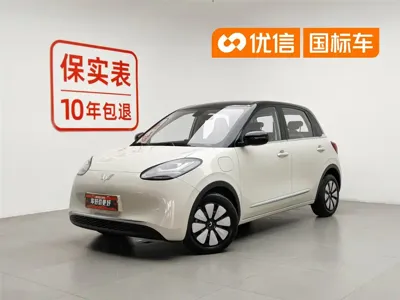Wuling Bingo · 2024 год