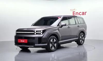 Hyundai Santafe · 2024 год