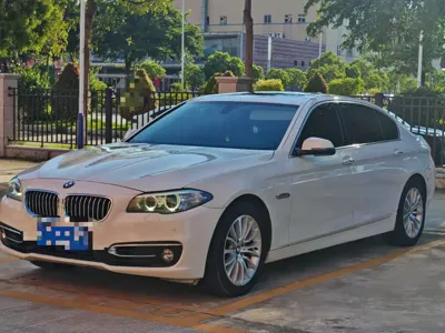 BMW 5 Series · 2014 год