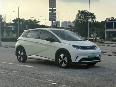 BYD Dolphin 2024, 35000 км, за 57800 CNY
