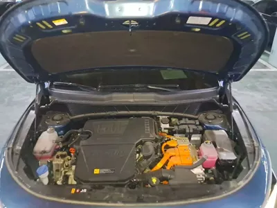 Kia Niro 2022, 22711 км, за 23500000 KRW - фото 10