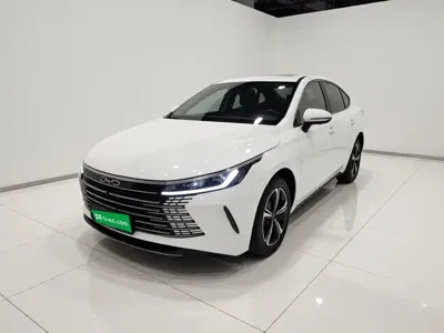 BYD Destroyer 05 · 2024 год