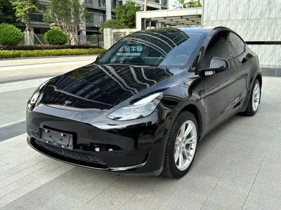 Tesla Model Y · 2022 год