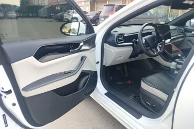 BYD Qin Plus 2021, 44600 км, за 81160.96 CNY - фото 19