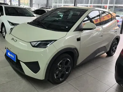 BYD Seagull · 2025 год