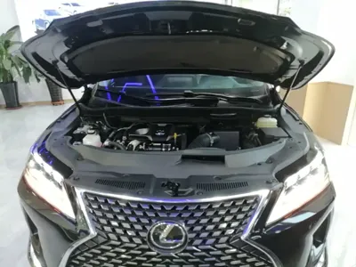 Lexus RX 2022, 60700 км, за 256600 CNY - фото 20