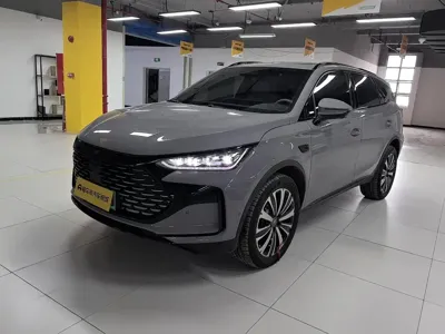 BYD Tang New Energy · 2025 год