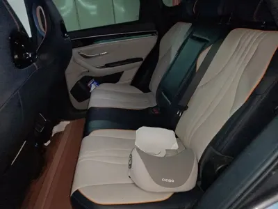 BYD PLUS New Energy 2023, 74500 км, за 83400 CNY - фото 15