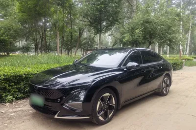Wuling Xingguang · 2023 год