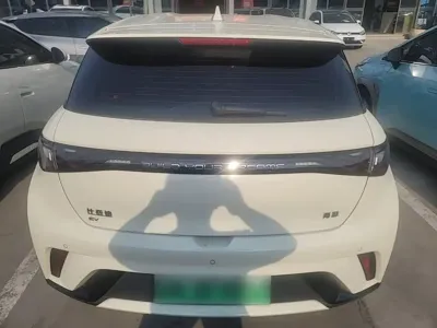 BYD Dolphin 2024, 13500 км, за 65400 CNY - фото 4