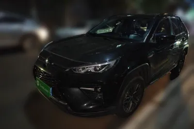 Toyota Wildlander · 2023 год